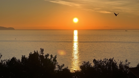 1913 IMG_9871_R.JPG