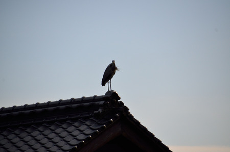 D7T_3780.jpg