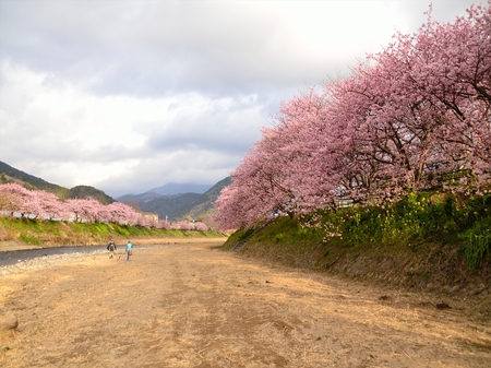 D7T_4900_R.jpg