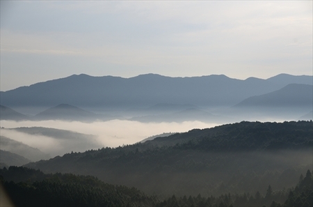 D7T_6821_00010_R.jpg