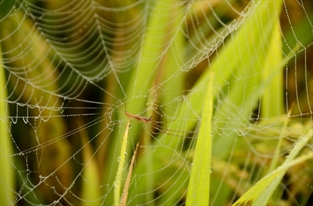 D7T_6848_00035_R.jpg