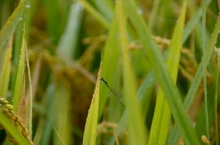D7T_6875_00052_R.jpg