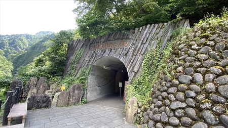 IMG_3370_R.jpg