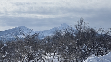 IMG_6471_R.JPG