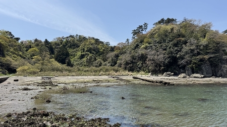 IMG_8570_R.JPG